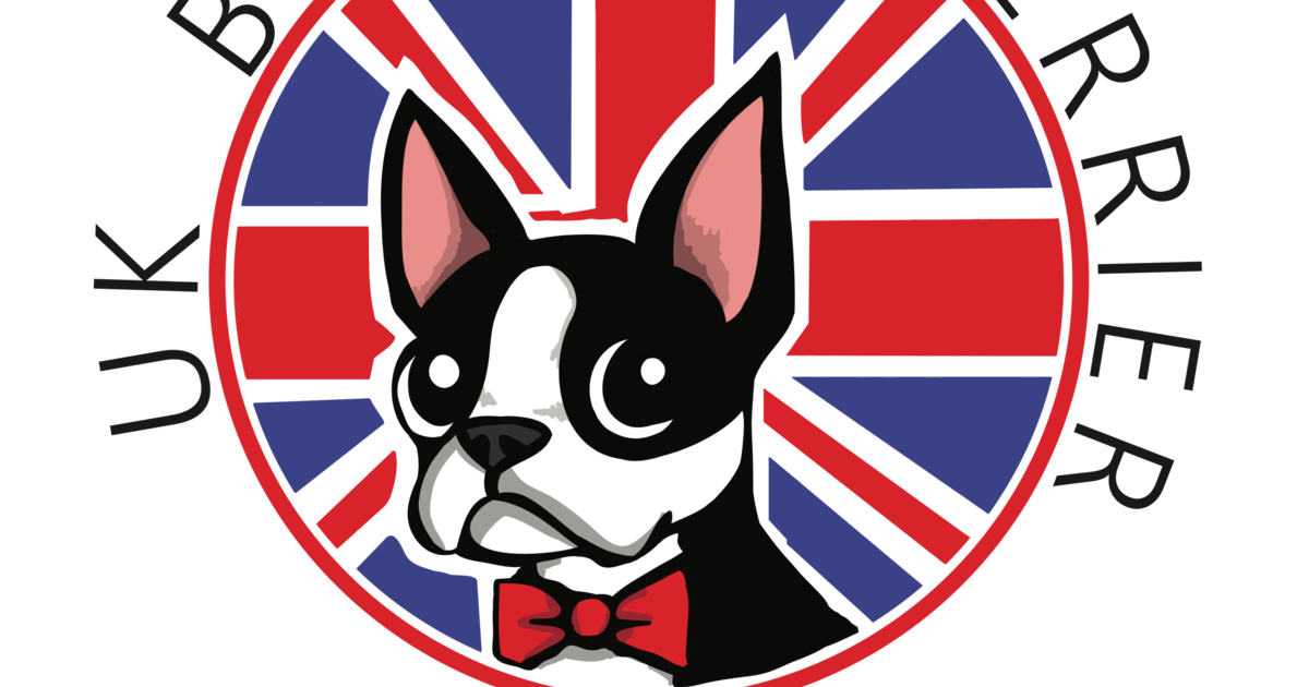 Uk Boston Terrier Rescue 10km Race